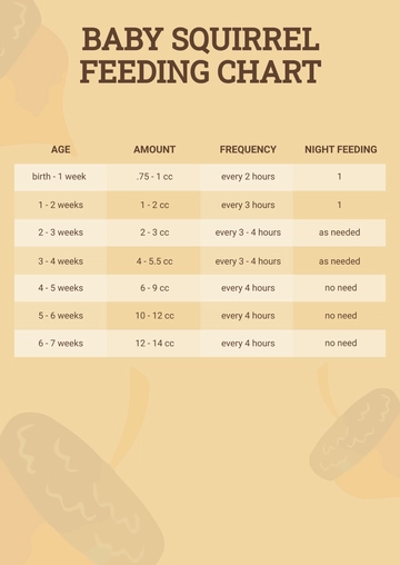 Free Baby Squirrel Feeding Chart Template to Edit Online