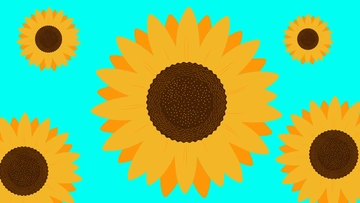 Free Sunflower Turquoise Background Template to Edit Online Free Sunflower Turquoise Background Template to Edit Online
