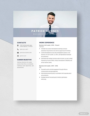 Business Unit Leader Resume