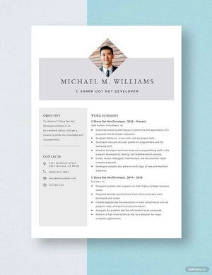 C Sharp Dot Net Developer Resume