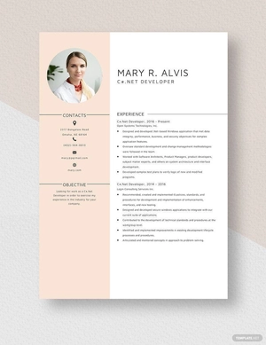 C#.Net Developer Resume