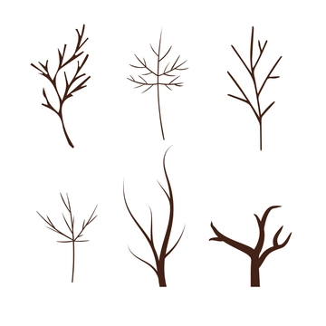Free Autumn Branch Clipart Template to Edit Online