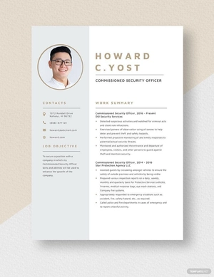 Commissioned Security Officer Resume
