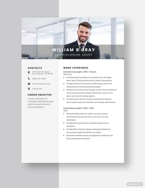 Commissioning Agent Resume