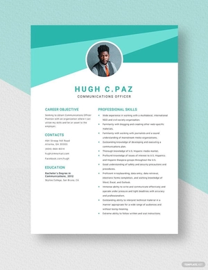 Communications Officer Resume