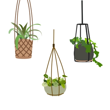 Free Hanging Plant Clipart Template to Edit Online