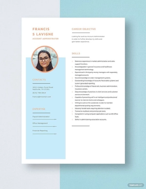 Simple Account Administrator Resume
