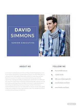 Senior Executive Resume