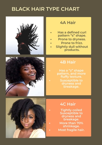 Free Black Hair Type Chart Template to Edit Online