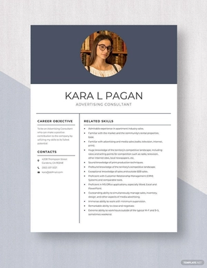 Advertising Consultant Resume