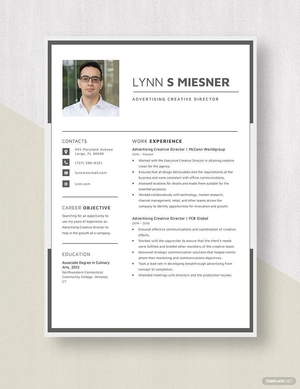 Advertising Creative Director Resume