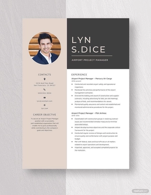 Airport Project Manager Resume