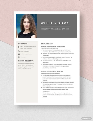 Assistant Probation Officer Resume