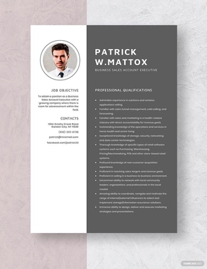 Business Sales Account Executive Resume