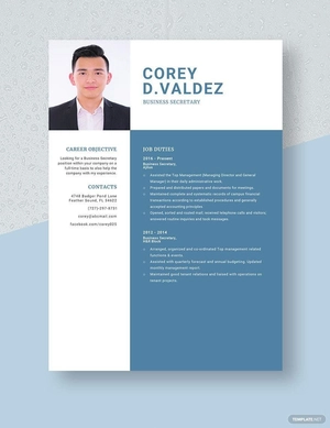 Business Secretary Resume