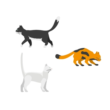 Free Minimalist Cat Clipart Template to Edit Online