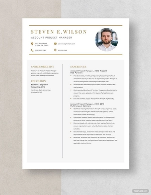 Account Project Manager Resume