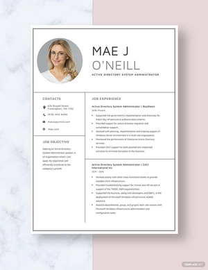 Active Directory System Administrator Resume