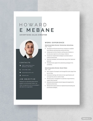 Advertising Sales Director Resume