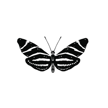 Free Zebra Butterfly Clipart Template to Edit Online