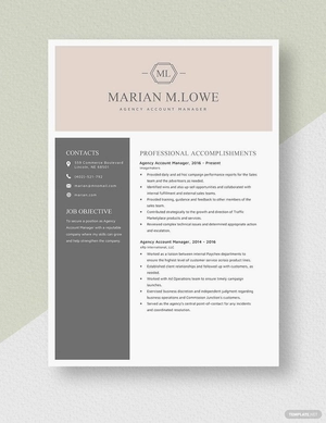 Agency Account Manager Resume