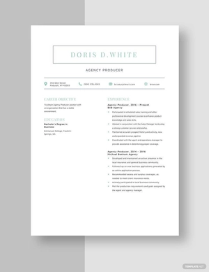Agency Producer Resume