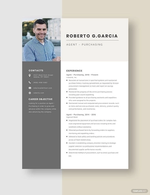 Agency Sales Manager Resume
