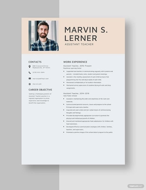 Assistant Teacher Resume
