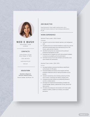 Assistant Team Leader Resume