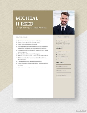 Assistant Visual Merchandiser Resume