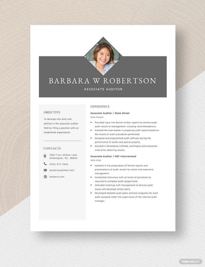 Associate Auditor Resume