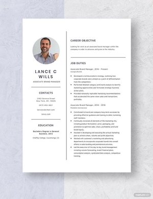 Associate Brand Manager Resume