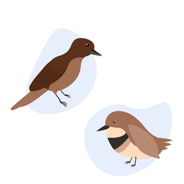 Free Aesthetic Bird Clipart Template to Edit Online