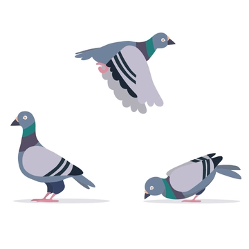 Free Pigeon Clipart Template to Edit Online