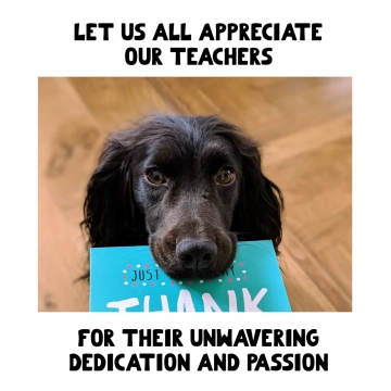 Free Teacher's Appreciation Meme Template to Edit Online