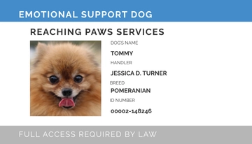 Free Emotional Support ID Card Template to Edit Online