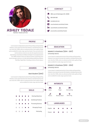 MBA Sales Executive Resume