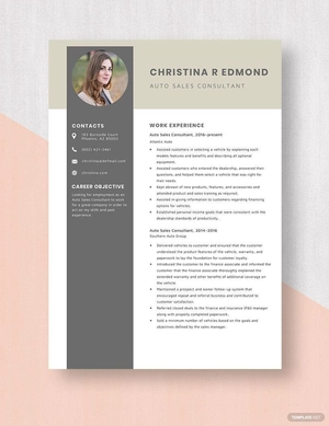 Auto Sales Consultant Resume