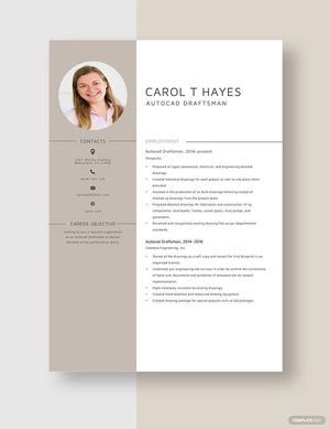 AutoCAD Draftsman Resume
