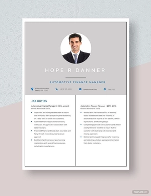 Automotive Finance Manager Resume