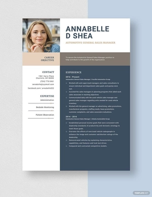 Automotive General Sales Manager Resume