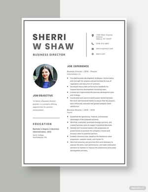 Business Director Resume