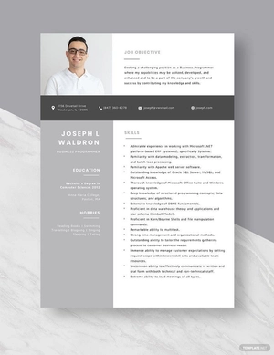 Business Programmer Resume