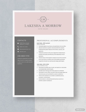 Auto Sales Resume