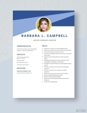Airline Baggage Handler Resume