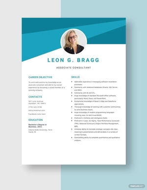 Associate Consultant Resume