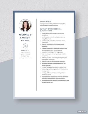 Blog Writer Resume