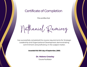 Free Professional Certificate of Completion Template to Edit Online
