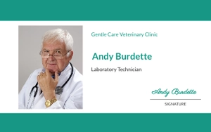 Free Veterinarian ID Card Template to Edit Online