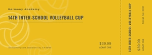 Free Volleyball Ticket Template to Edit Online